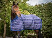 Turfmaster Comfort Quilt Stable Rug 300g image
