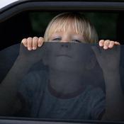 Window Tint Film 20%