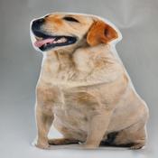 Cushion-Dog (2) image