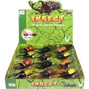 Pull Back Beetle Cars 9CM (12)