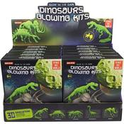 Glow in the Dark 3D Dinosaur Skeleton Kit(10)