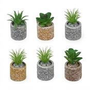 Artificial Succulent Plant in Pot(12) 6X7cm