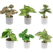 Artificial Monstera Plant in Pot(6) 9X29cm