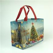 Non-Woven Christmas Gift Bag (12)