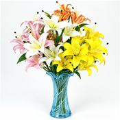 9 Head Flower Lily
