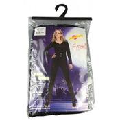 Black Widow Costume image