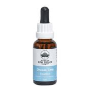 Australian Bush Flower Essences Dream Time Remedy Essence