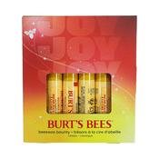 Burt's Bees Beeswax Bounty Classic Gift Set image