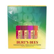 Burt's Bees Bounty Fruit Mix Lip Balm Gift Set image