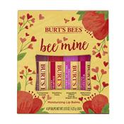 Burt's Bees Bee Mine Lip Balm Gift Set