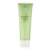 Dublin Herbalists Shampoo Créme