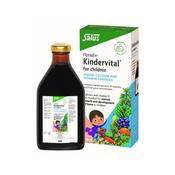 Floradix Kindervital For Children image