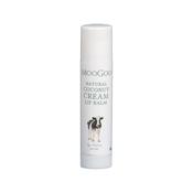 MooGoo Natural Coconut Edible Lip Balm image