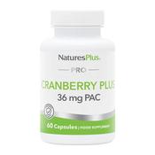 Nature's Plus Pro Cranberry Plus image