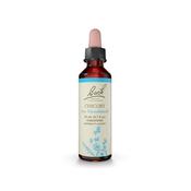 Bach Original Flower Remedy Chicory 'Love Unconditionally' image
