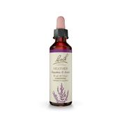 Bach Original Flower Remedy Heather 'Empathise &amp; Listen'