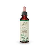 Bach Original Flower Remedy Holly 'Goodwill Towards Others'