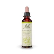 Bach Original Flower Remedy Honeysuckle 'Embrace The Now' image
