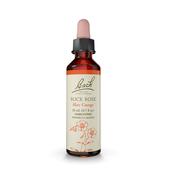 Bach Original Flower Remedy Rock Rose 'Fearlessness' image