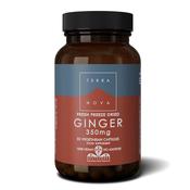 Terranova Ginger 350mg image