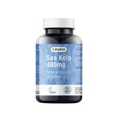 Lifeplan Kelp image