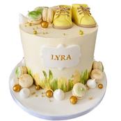 Baby Booties Cake - Eve's Cakes
