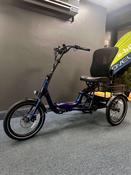 T4F Electric Trike image