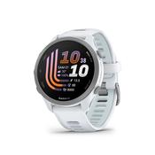 Garmin Forerunner 170 010-03920-01 - Whitestone with Whitestone/Cloud Blue Band image