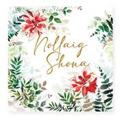 Aware Irish Charity Christmas Cards Pack of 10 - Floral Nollaig Shona AWE135818 image