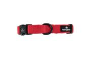 Dogs red collar image