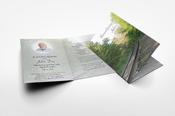 Forest Journey image