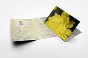 Chrysanthemum