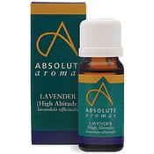 ABSOLUTE AROMAS LAVENDER (HIGH ALTITUDE)