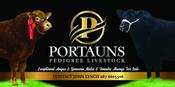 PVC Banner 6FT x 3FT