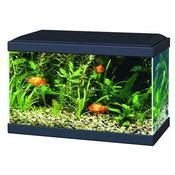 CIANO Aquarium 60 Plus LED