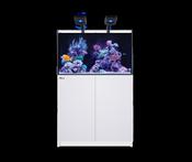 Red Sea Reefer G3 250