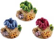 Classics Mini Coral Assortment