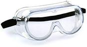 Safety Goggles image