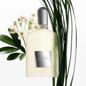 Tom Ford Grey Vetiver EDP 100ML image
