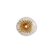 Sunbeam - Black Wall Lamp with Clear &amp; Amber Ribbed Glass image