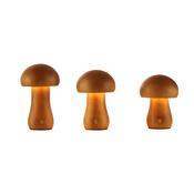 Asher - Set of 3 Rechargeable Wooden Table Lamps image