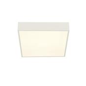 Zeus - White LED Flush with White Diffuser image