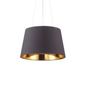Nordik - Black &amp; Gold 4 Light Pendant image