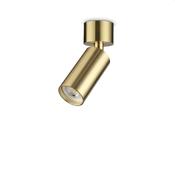 Dynamite - Satin Brass Spotlight  image