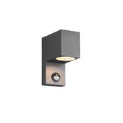 Trio 214269142 Roya - Anthracite PIR Wall Lamp