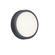 Trio 227260142 Breg - Anthracite Ceiling / Wall Lamp Ø 20 cm