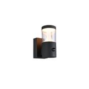 Trio 238569142 Tagus - Anthracite CCT Sensor Wall Lamp image