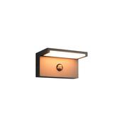 Trio 238669142 Ravi - Anthracite CCT Sensor Wall Lamp image