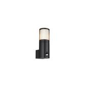 Trio 269469142 Volga - Anthracite PIR Wall Lamp