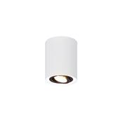 Trio 612900134 Cookie - Adjustable Surface Mounted Spotlight image